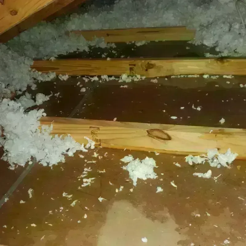 Attic Water Damage in Wailua, HI